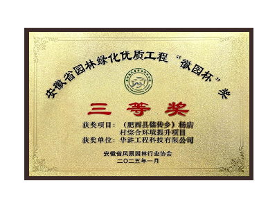 临沧荣获2025“徽园杯”奖三等奖
